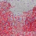 grey/red