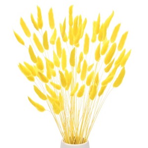 Unique Bargains Artificial Dried Flowers Realistic Look Pampas Bunny Tails Grass 17 Inch - 1 of 4