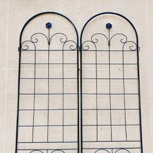 Dolonm 2 Pack Black Metal Garden Trellis for Climbing Plants, 86.7"H x 19.7"W, Rustproof Outdoor Plant Support for Roses, Vines & Vegetables - 1 of 4