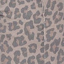 Beige Leopard Print