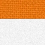 tennessee volunteers
