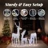 Karl Home  3-Piece Lighted Iridescent Christmas Reindeer Family Set Outdoor Decorations - 4 of 4