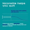 Nicorette 4mg Stop Smoking Aid Nicotine Mini Lozenge - Mint - 4 of 4