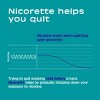 Nicorette 4mg Stop Smoking Aid Nicotine Mini Lozenge - Mint - image 4 of 4