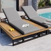 Outdoor Backyard Chaise Lounge Chair,5 Position Adjustable Backrest Recliner Chair,Garden Poolside Lounge with Beige Cushions-Coolbibila - 3 of 4