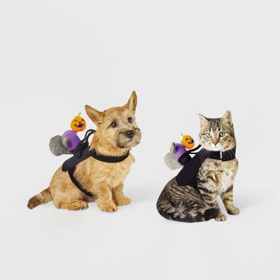 Headless Horseman Squirrel Rider Dog and Cat Costume - Hyde and EEK! Boutique™