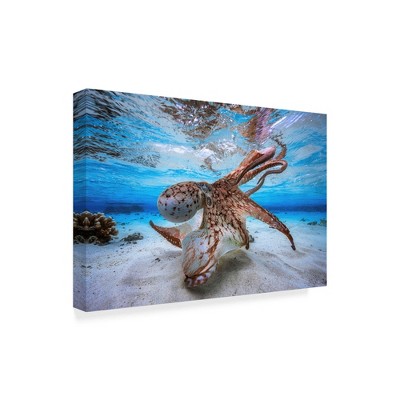 Trademark Fine Art -Barathieu Gabriel 'Dancing Octopus' Canvas Art