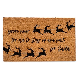 Creative Products You're Never too Old to Stay up for Santa 30 x 18 Door Mat - 1 of 1