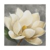 Albena Hristova 'Magnolia Blossom on Gray' Canvas Art - 2 of 3