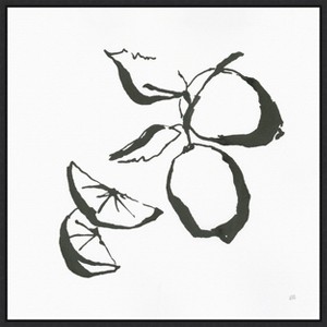 Amanti Art Limes BW by Chris Paschke Canvas Wall Art Print Framed 22 x 22-in. - 1 of 4