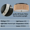 Claxy LED Flush Mount Ceiling Light Brown Paper Twine Shade - 3 of 4