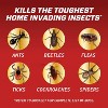 Ortho Home Defense Insect Killer for Indoor & Perimeter RTU Wand: Kills Spiders, Liquid Formula - 128oz - 4 of 4