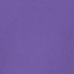 petal purple