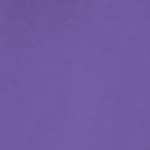 petal purple