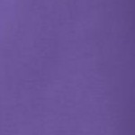 petal purple