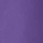 petal purple
