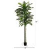 Nearly Natural 10-ft UV Resistant Artificial Double Robellini Palm Tree (Indoor/Outdoor) - 2 of 4