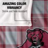 State University Of New York At Potsdam Campus Plaid Spirit Silky Touch Super Soft Throw Blanket 50x60 - 4 of 4