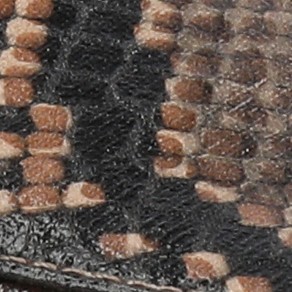 snake/brown