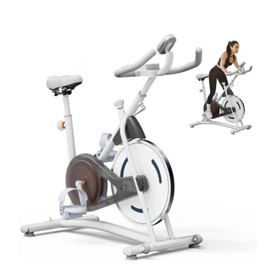 VisioGear Exercise Bike, Indoor Cycling Bike with 245 lbs Weight Capacity, Stationary Bikes for Home Cardio Gym Workouts, White, 42"*41.6"*21.6"