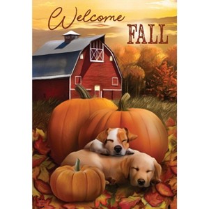 Briarwood Lane Garden Flag 12x18 For Outdoor Welcome Fall Puppies For Fall Garden Flag Flags For Outside - 1 of 4