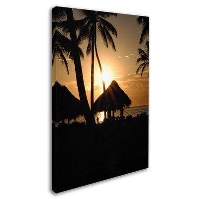 Trademark Fine Art-Monica Mize 'Majical' Canvas Art