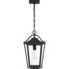 Quoizel Lighting Darius 1 - Light Pendant in  Earth Black - 4 of 4