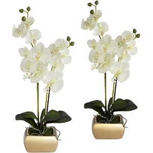 Dahlia Studios White Orchid 22