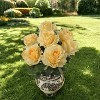 Floral Home 20" Yellow Rose Bush - 6-Pieces - 2 of 4
