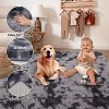 Acekool Fluffy Washable Shag Area Rug with Non-Slip Backing, Soft Plush Solid Carpet for Bedroom, Living Room, Dorm, Gray5x8 - 4 of 4