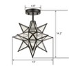Claxy Black Moravian Star Ceiling Light Etched Glass Shade - 3 of 4