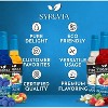Syruvia Sugar Free Coffee Flavors Variety Pack: Blue Raspberry, Peach, Strawberry & Vanilla 25.4 fl oz Syrup - 4 of 4