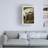 Trademark Fine Art -John James Audubon 'Whooping Crane' Canvas Art - 2 of 4