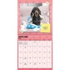 Trends International 2025 Guilty Dog Wall Calendar: Monthly Planner, 12x12 Inches, Multicolored, Saddle Stitch Binding - 2 of 4