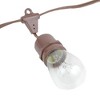 Novelty Lights Edison Outdoor String Lights with 25 Suspended Sockets Brown Wire 37.5 Feet - 4 of 4
