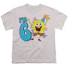 Boys' Spongebob Squarepants Birthday Hat I'M 6 T Shirt Silver Small - 2 of 4