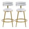 27.65" Velvet Armless Counter Stool (Set of 2) with Soft Back, Cushion, and Footrest for Kitchen, Dining Room, or Bedroom - 3 of 4