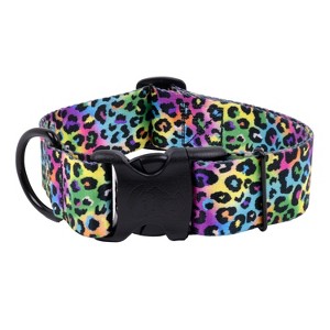 Country Brook Petz HossFit Jr Wide Deluxe Dog Collar - Animal Print Collection - 1 of 4