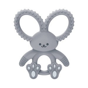 Dr. Brown's Flexees Silicone Teether - Gray - 1 of 4