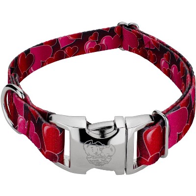 Country Brook Petz Premium Dog Collar - Affection Collection