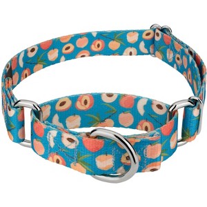 Country Brook Petz Peaches Martingale Dog Collar (1/2 Inch, Extra Small) - 1 of 4
