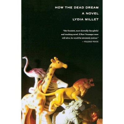 How the Dead Dream - by  Lydia Millet (Paperback)