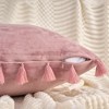 REGALWOVEN Velvet Soft Solid Covers Bohemian with Tassels Decorative Throw Pillow 2 Pcs - 3 of 4