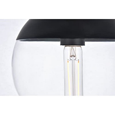 Elegant Black and Clear Glass Globe Pendant Light