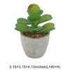 Unique Bargains Artificial Plants Mini Desert Rose in Pulp Plastic 3.15"x3.15"x4.13" 1Pcs - 3 of 4