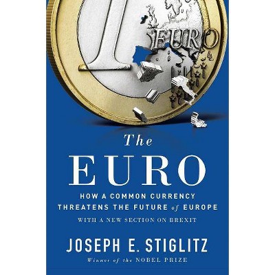 The Euro - by  Joseph E Stiglitz (Paperback)