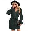 BLUEMING Women Fall Winter Dress 2025 V Neck Long Sleeve Ribbed Knit Belted A Line Mini Knit Dress - 2 of 4
