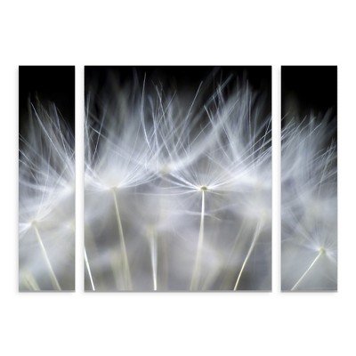 Trademark Fine Art -Peter Fallberg 'Blow It' Multi Panel Art Set