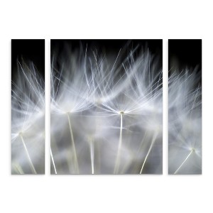Trademark Fine Art -Peter Fallberg 'Blow It' Multi Panel Art Set - 1 of 1