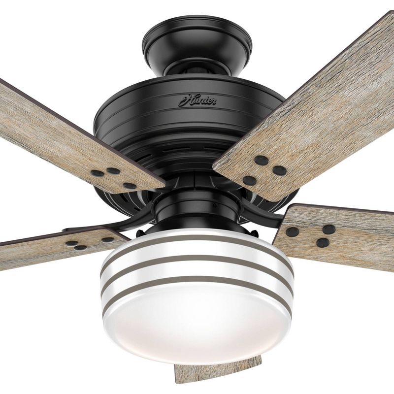 44&#34; Cedar Key Damp Rated Ceiling Fan with Remote Black (Includes LED Light Bulb) - Hunter Fan, 6 of 16